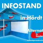AfD-Infostand Hördt